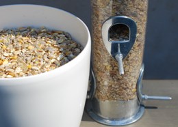 No-mess seed and insect mix bird food