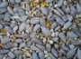 High energy deluxe seed mix for wild birds