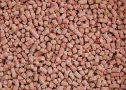 Berry suet treats