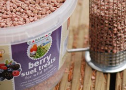 Berry suet treats