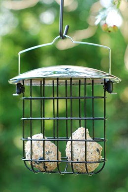 Heavy duty suet feast feeder - chrome