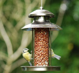 Lantern peanut feeder