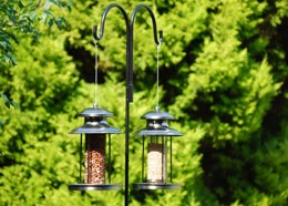 Lantern peanut feeder