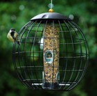 squirrel-proof-seed-feeder