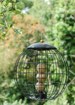Squirrel proof fat balls feeder