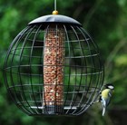 squirrel-proof-peanut-feeder