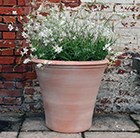 arezzo-pot
