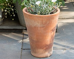 Empoli terracotta lily pot