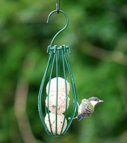 Fat snax feeder cage