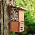 Insect and bug box