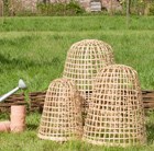 bamboo-bell-cloche