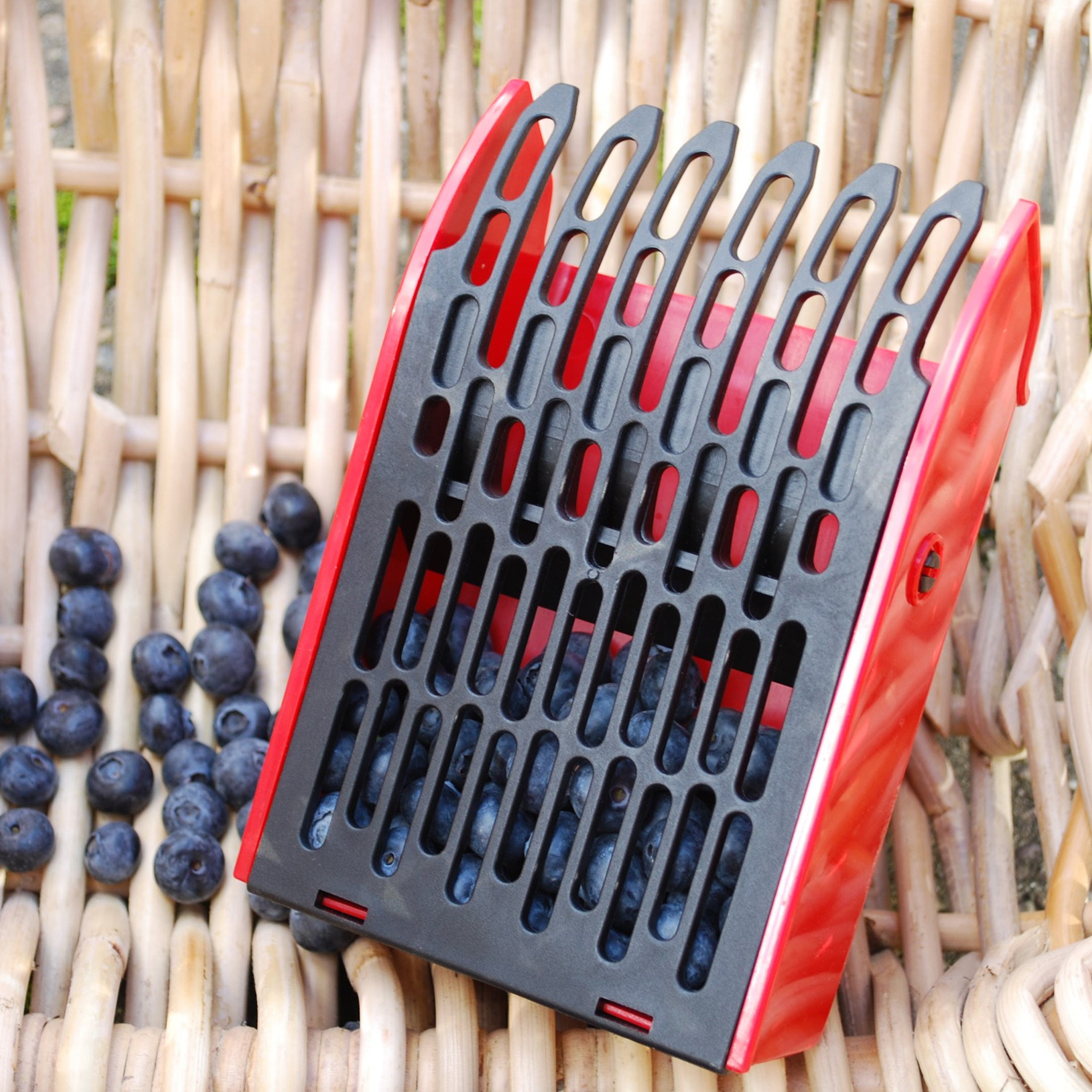 Berry picker