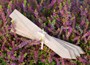 Oak plant labels