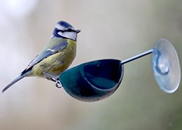 Cup window feeder