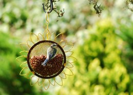Flower peanut feeder