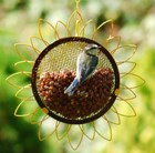 flower-peanut-feeder