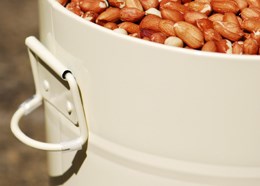 Mini bird feed storage bin