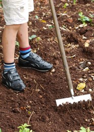 Gardener's apprentice soil rake