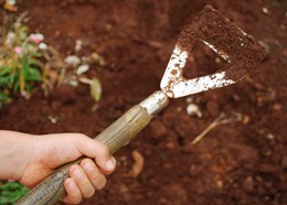 Gardener's apprentice dutch hoe