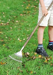 Gardener's apprentice lawn rake