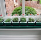 super-7-self-watering-propagator