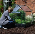 pop-up-cloche-cover-for-grow-bed