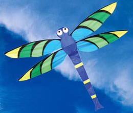 Dragonfly kite