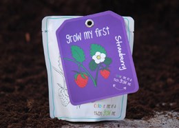 Strawberry - children's grow pack
