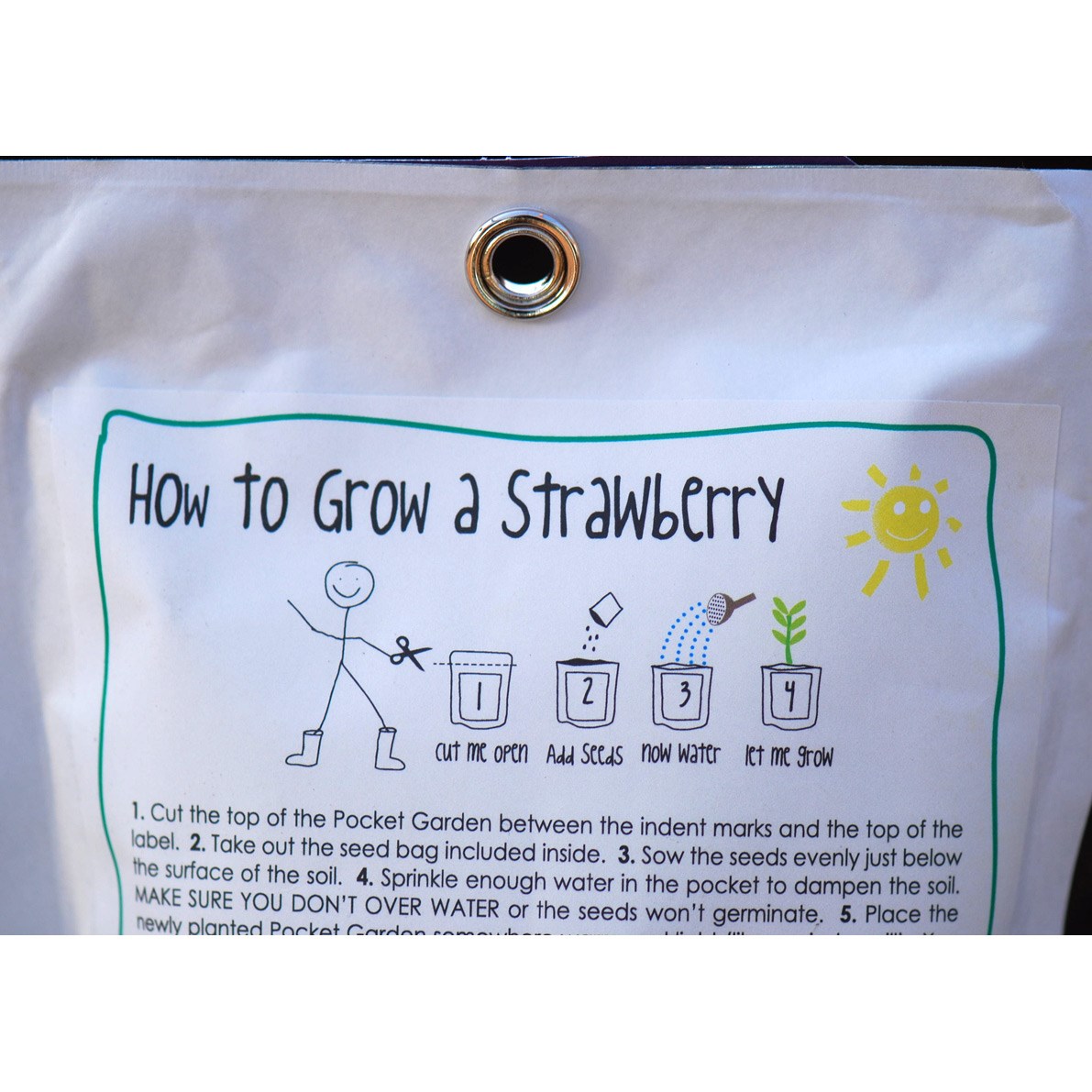 Strawberry - children's grow pack