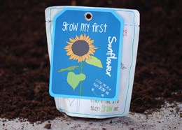 Sunflower - children's grow pack