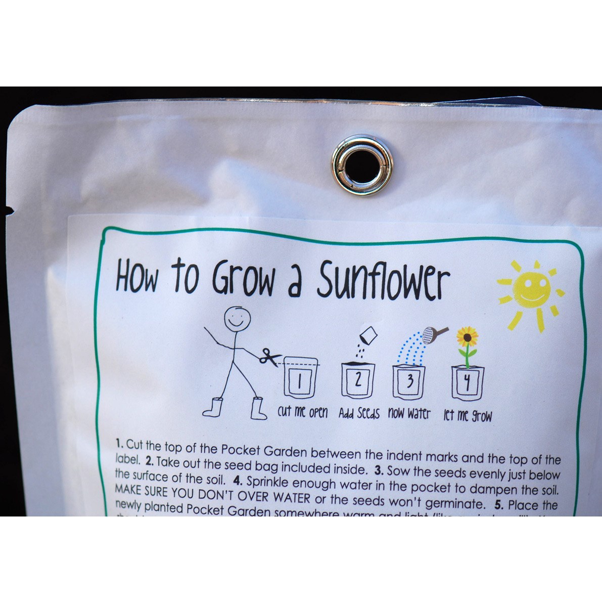 Sunflower - children's grow pack