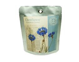Cornflower - pocket garden