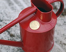 Haws ruby metal 1 litre watering can