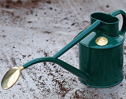 Haws green metal 1 litre watering can