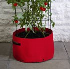 tomato-climbing-patio-planter