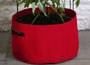 Patio planter for climbing tomatoes