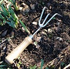 Traditional hand 3 prong cultivator stainless steel by Joseph Bentley