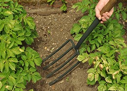Traditional potato fork by Joseph Bentley