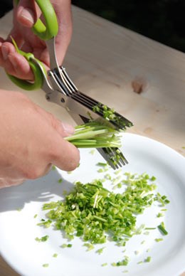 Herb scissors with free chive seeds