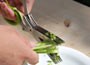 Herb scissors with free chive seeds