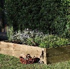 large-caledonian-raised-bed