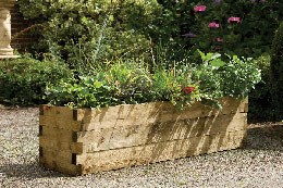 Narrow caledonian raised bed