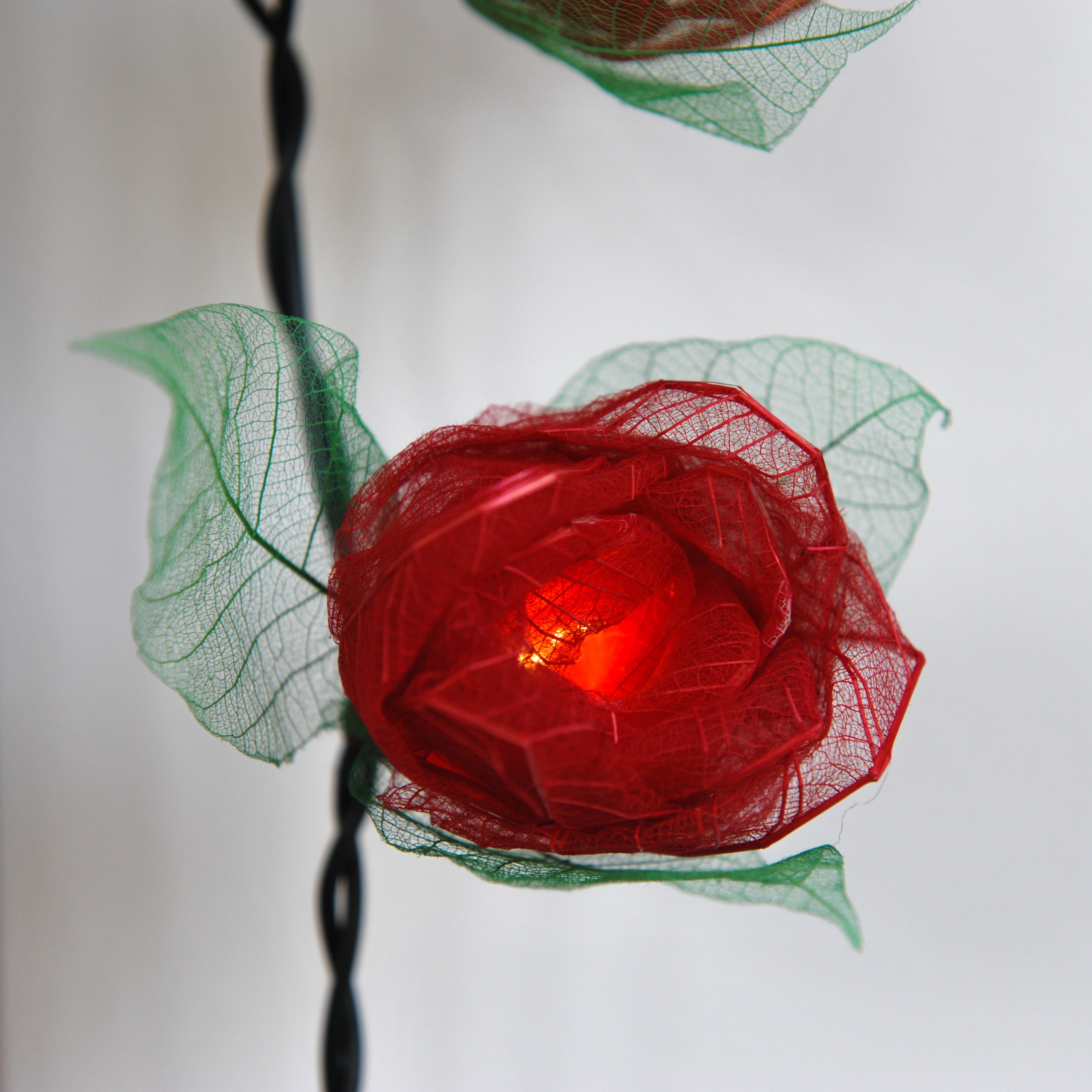 Rosebud LED lights
