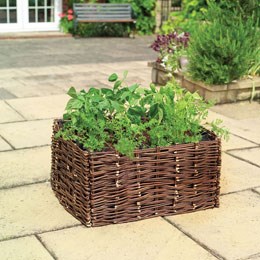 Summer vegetable willow planter