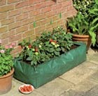 Reusable grow-bag