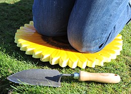 Sunflower kneeler