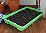 5 green standard seed trays