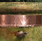 copper-snail-and-slug-tape