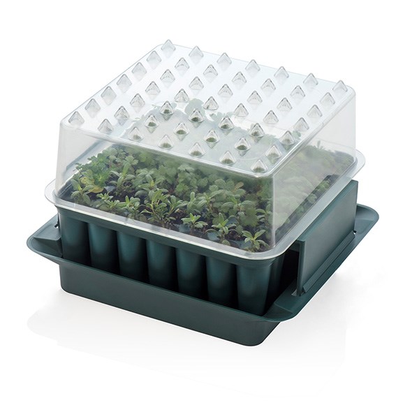 Compact plug plant trainer Compact plug plant trainer