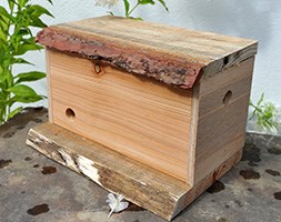 Bumble bee nest